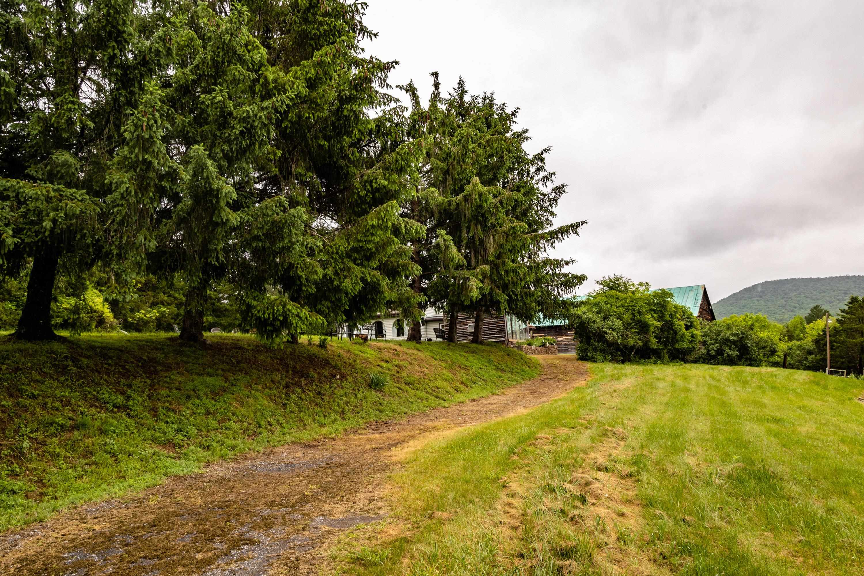 9881 Fort Valley Road Fort Valley, VA 22652 - Photo 42 of 75 a view of a yard with trees in the background