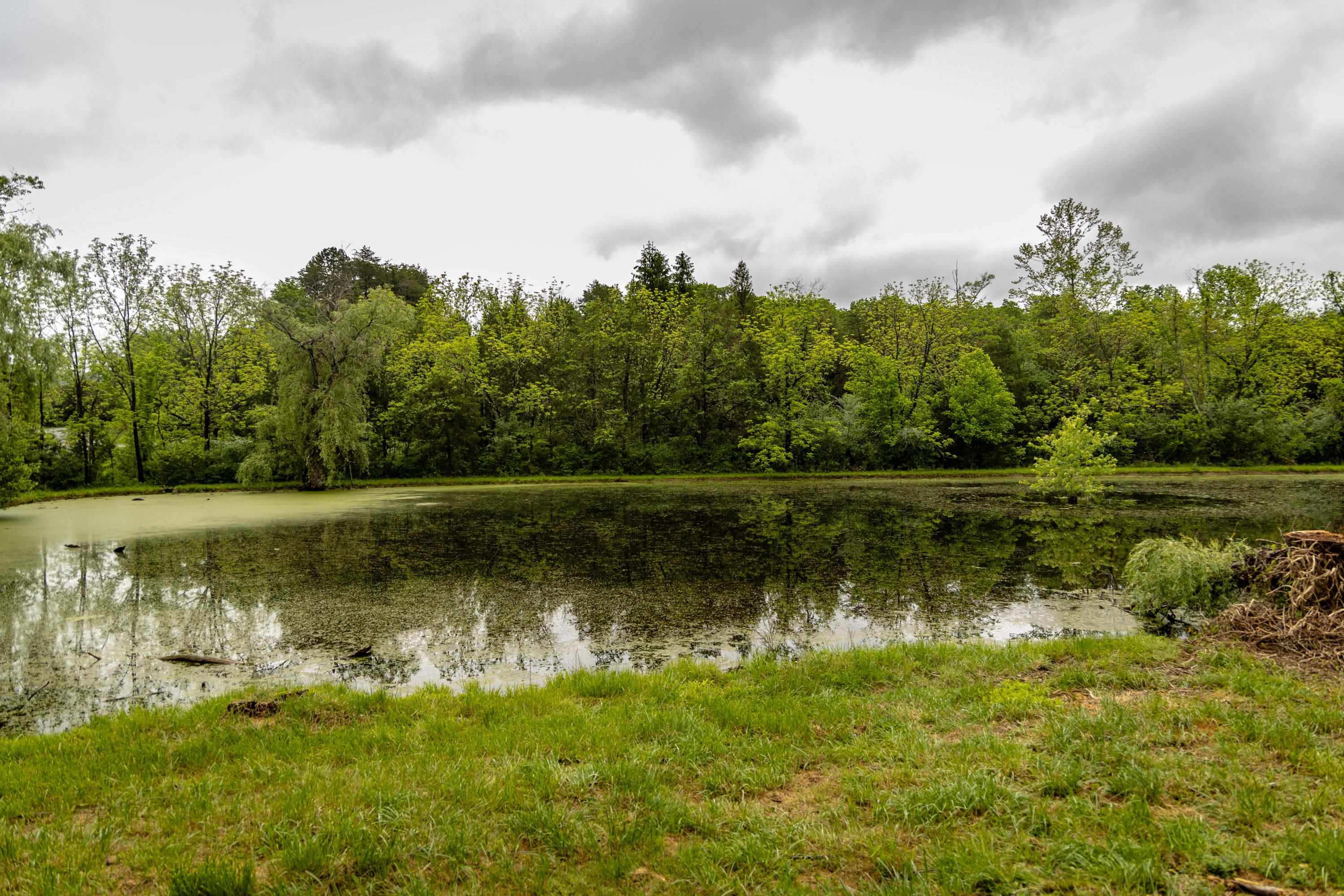 9881 Fort Valley Road Fort Valley, VA 22652 - Photo 44 of 75 a view of a lake in between two of trees
