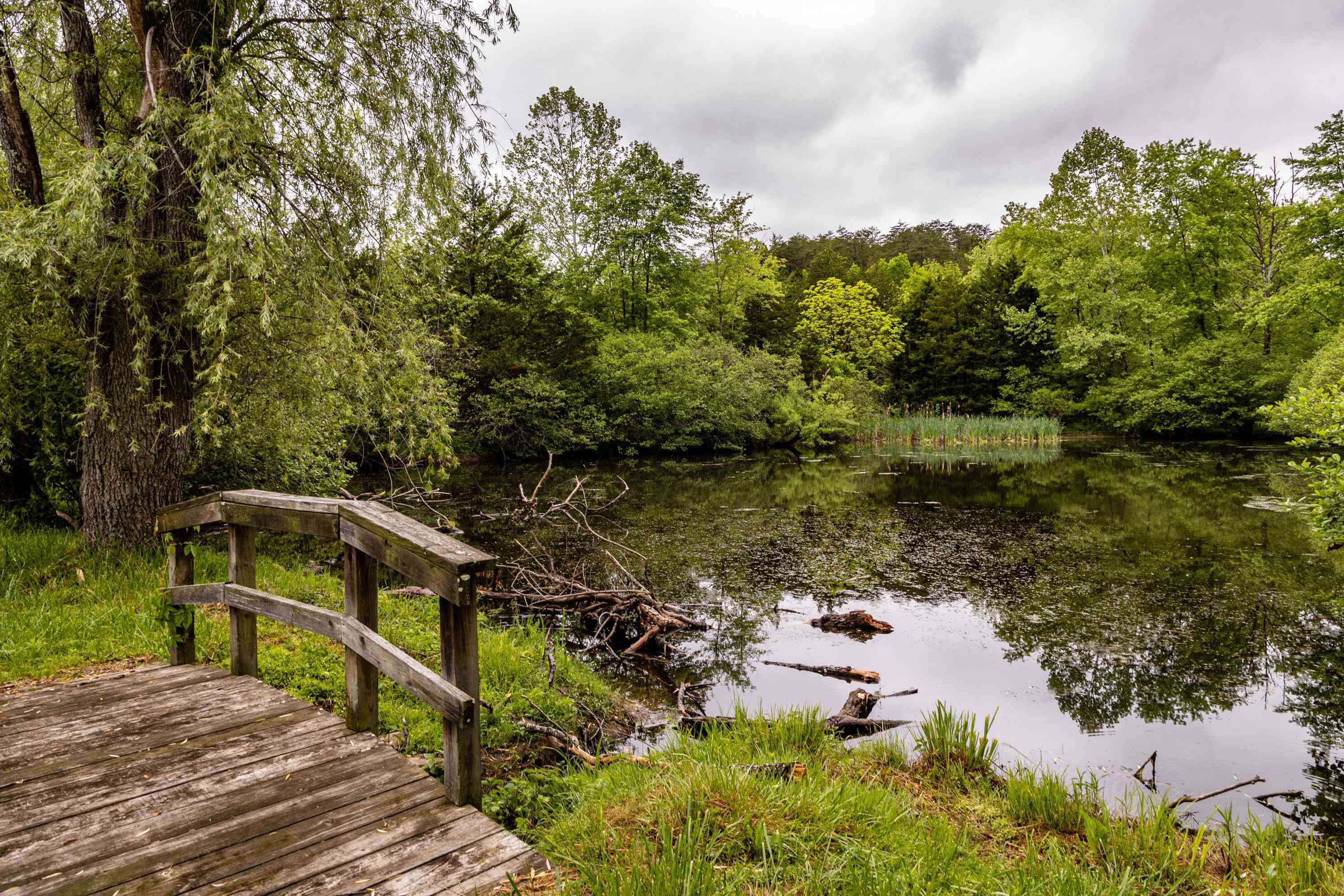 9881 Fort Valley Road Fort Valley, VA 22652 - Photo 46 of 75 a view of a lake with a wooden bridge