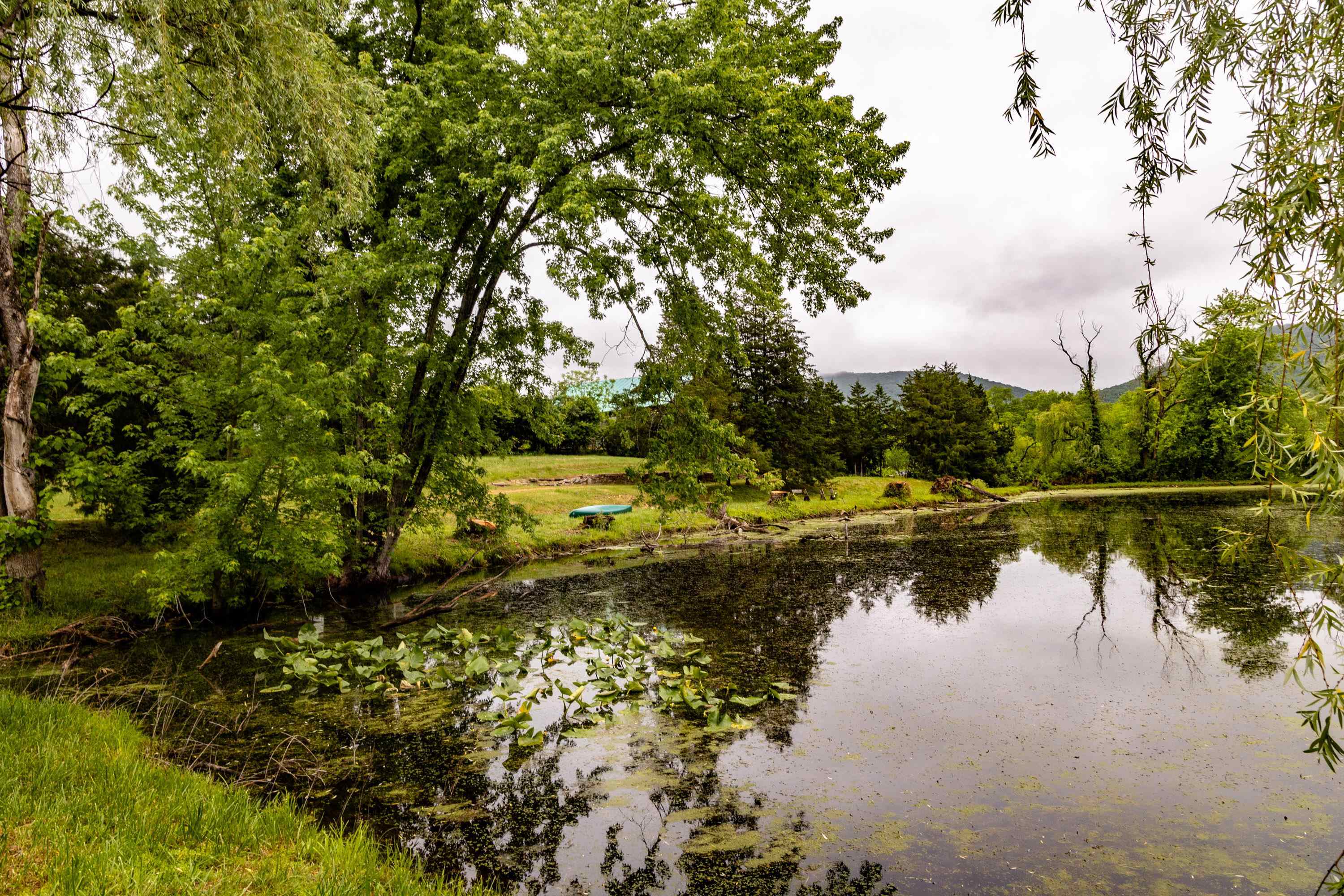 9881 Fort Valley Road Fort Valley, VA 22652 - Photo 47 of 75
