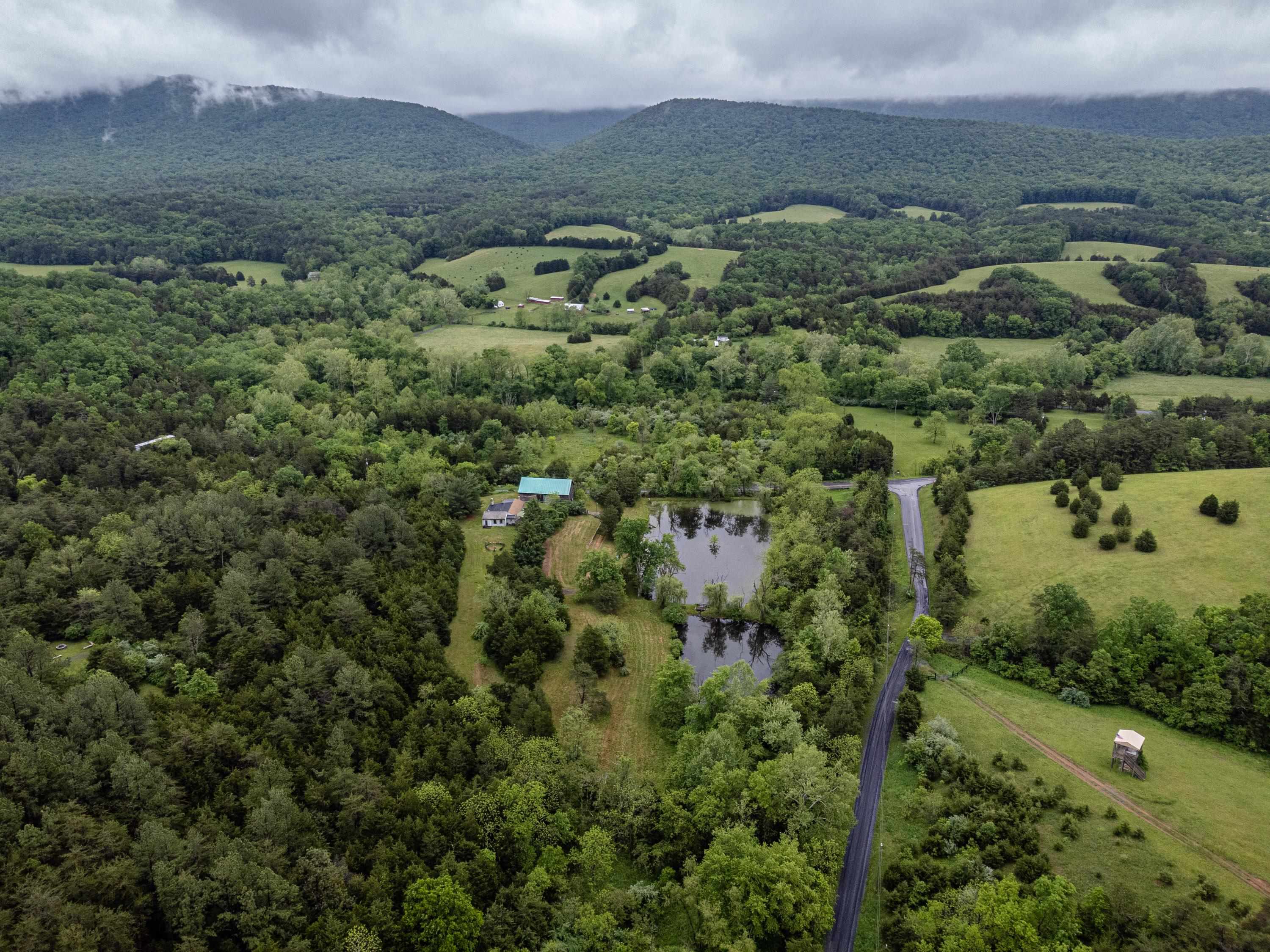 9881 Fort Valley Road Fort Valley, VA 22652 - Photo 58 of 75 an aerial view of residential houses with outdoor space and trees