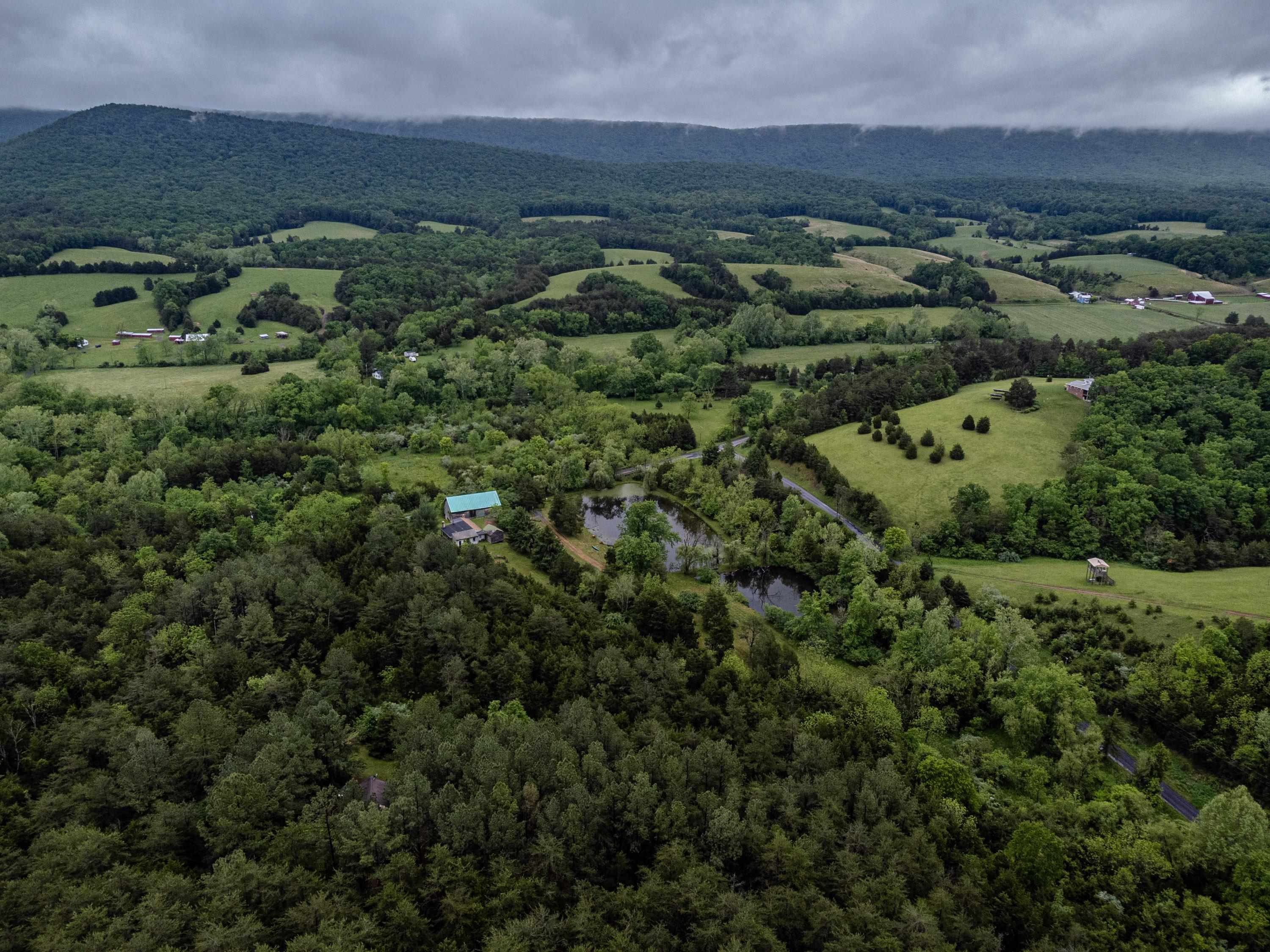 9881 Fort Valley Road Fort Valley, VA 22652 - Photo 72 of 75