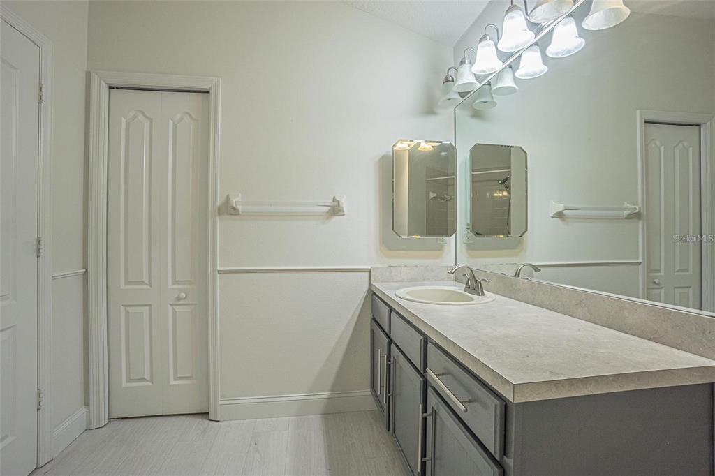 31912 Turkeyhill Drive Wesley Chapel, FL 33543 - Photo 17 of 27 a bathroom with a sink vanity and a mirror