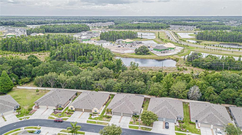 31912 Turkeyhill Drive Wesley Chapel, FL 33543 - Photo 21 of 27 a view of a lake with a city