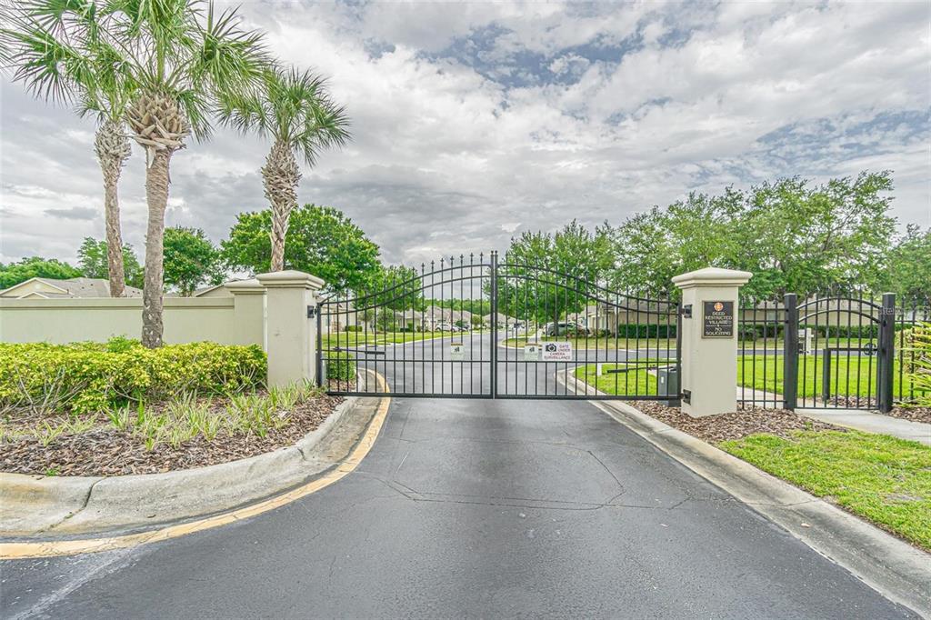 31912 Turkeyhill Drive Wesley Chapel, FL 33543 - Photo 22 of 27 a view of a backyard