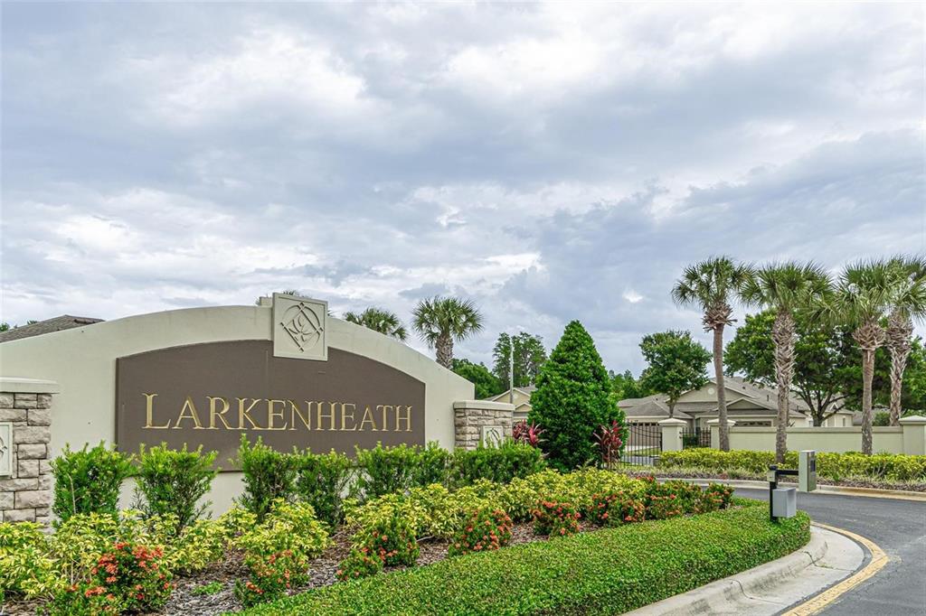 31912 Turkeyhill Drive Wesley Chapel, FL 33543 - Photo 23 of 27 a front view of a house with a garden