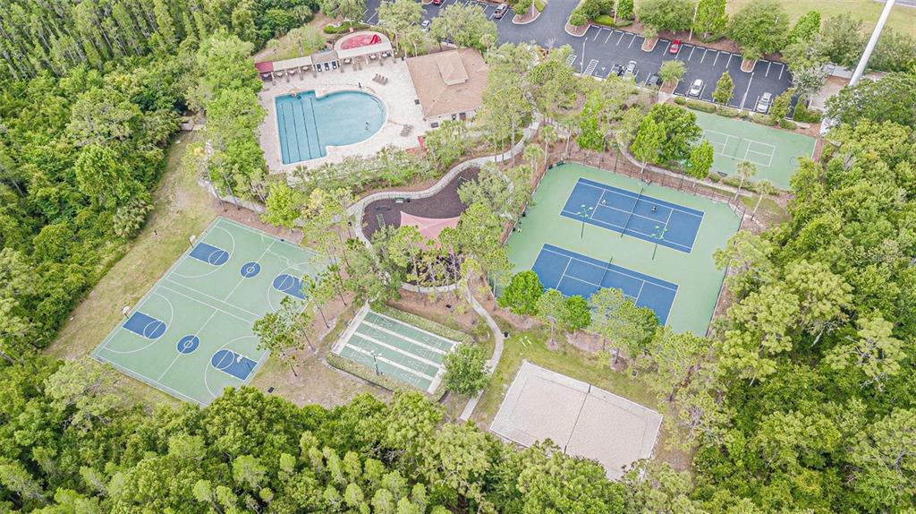 31912 Turkeyhill Drive Wesley Chapel, FL 33543 - Photo 24 of 27 an aerial view of a house with a yard and trees