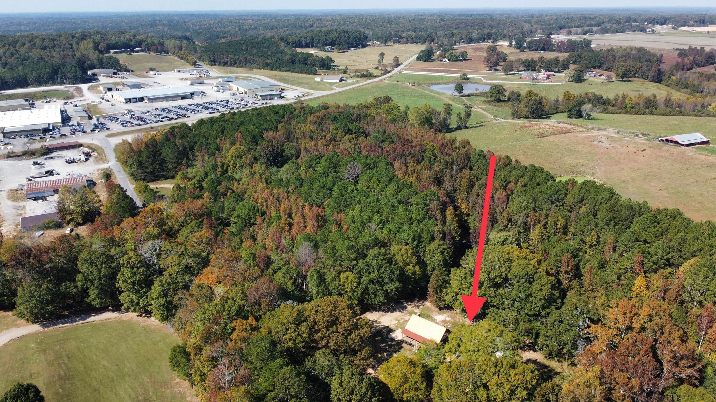 291 County Road 43 Addison, AL 35540 - Photo 47 of 50 Gallery Image 47