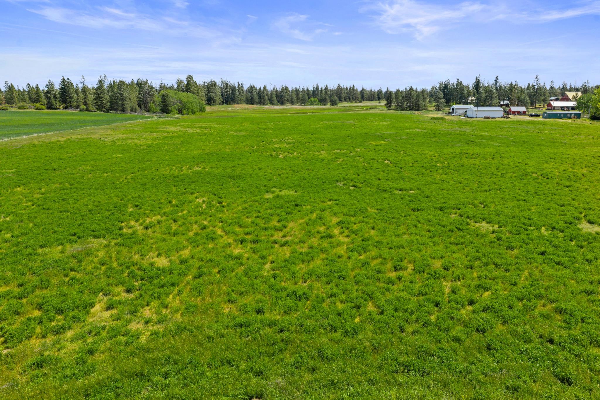 132-xx North Wood Road Reardan, WA 99029 - Photo 4 of 5