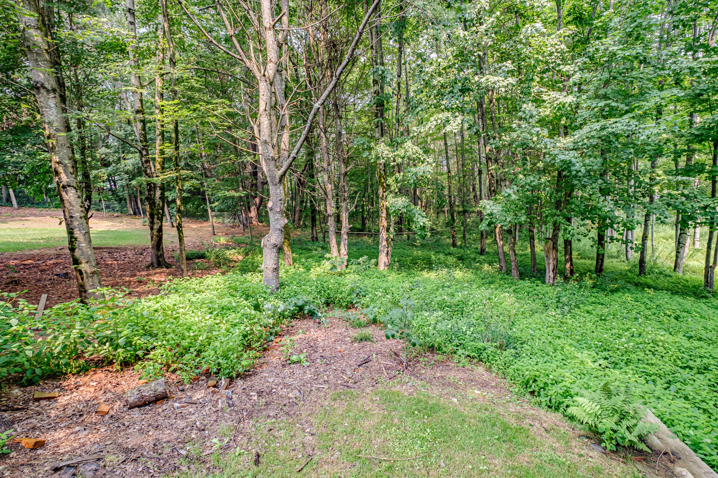 592 Long Plains Road Buxton, ME 04093 - Photo 70 of 82 20210726gp-62104