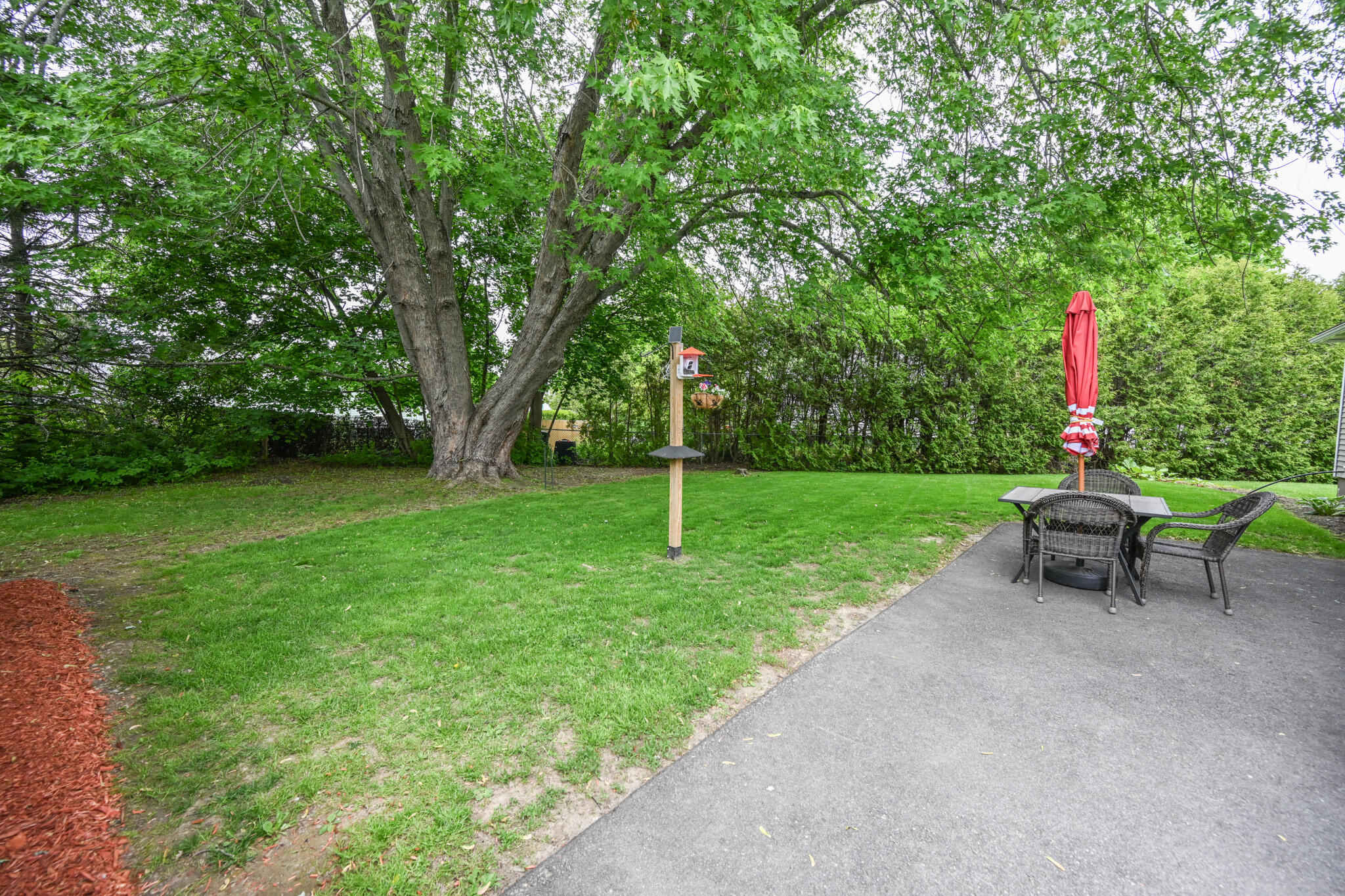1128 Chase Road Veazie, ME 04401 - Photo 25 of 25 Back Yard