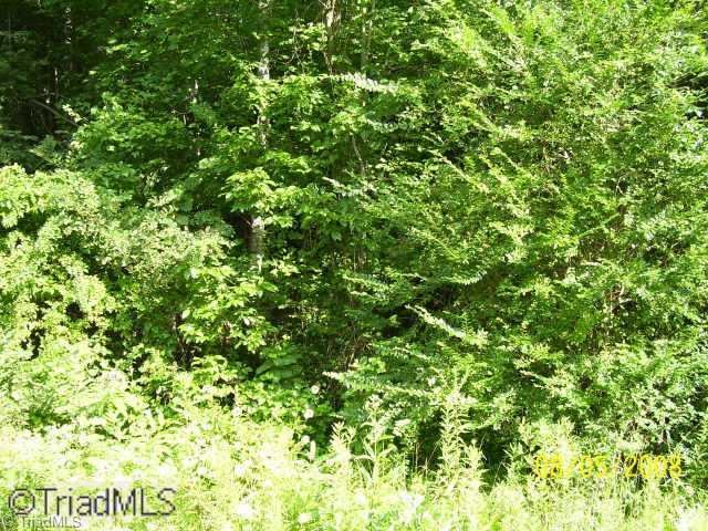 0 Crotts Road Mount Airy, NC 27030 - Photo 2 of 3 Other. All Wooded