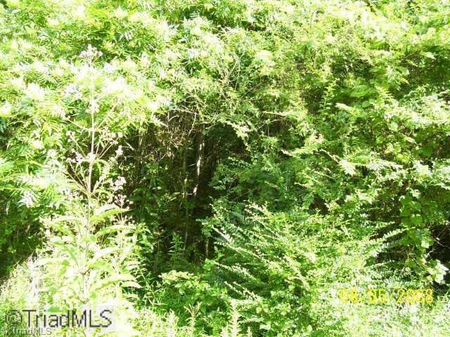 0 Crotts Road Mount Airy, NC 27030 - Photo 3 of 3 Other. All Wooded