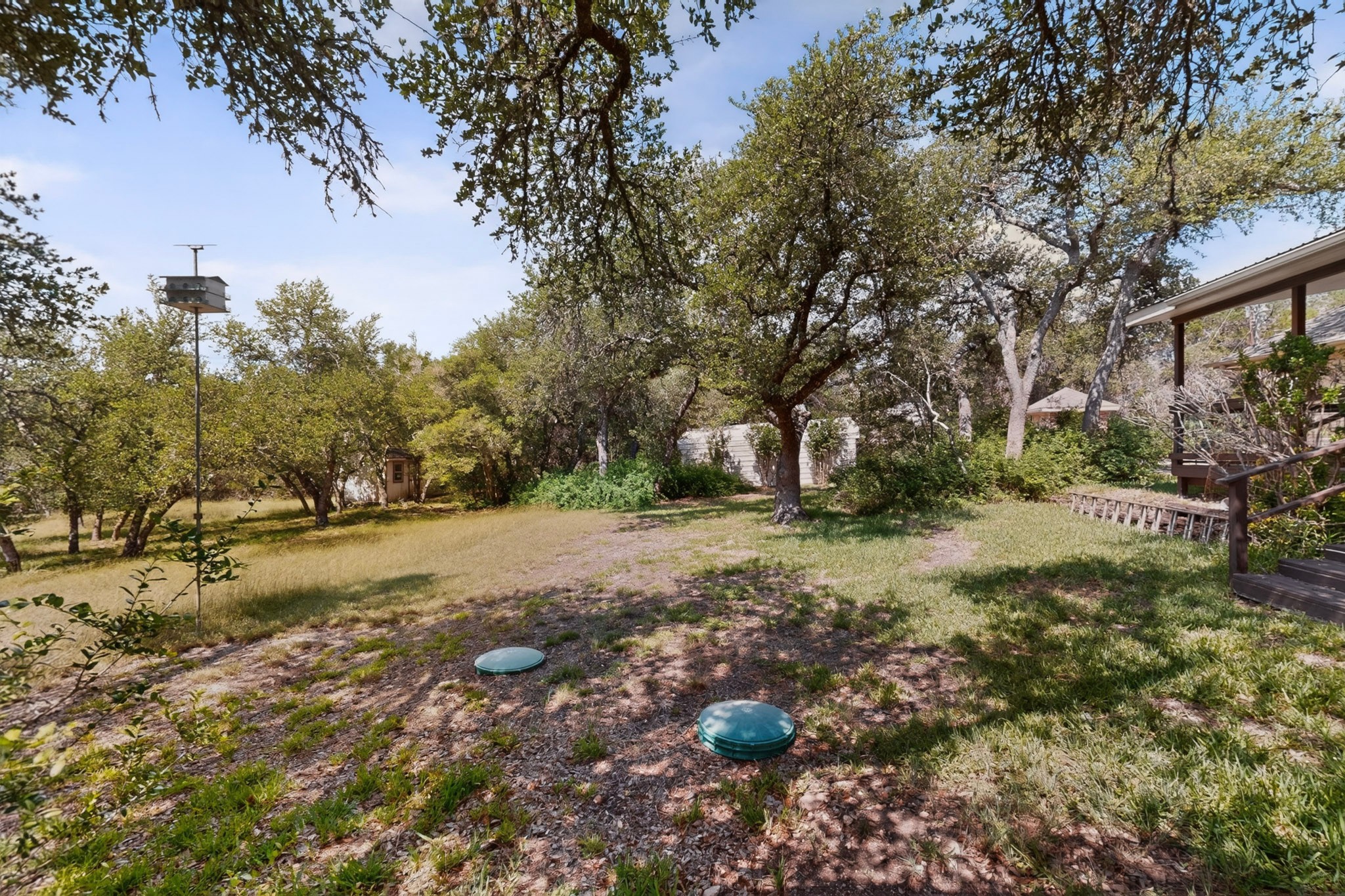 1003 Pier Branch Road Dripping Springs, TX 78620 - Photo 35 of 40 Mature trees and lush greenery create a serene outdoor retreat.