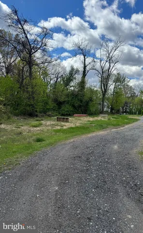 a view of outdoor space with deck and trees