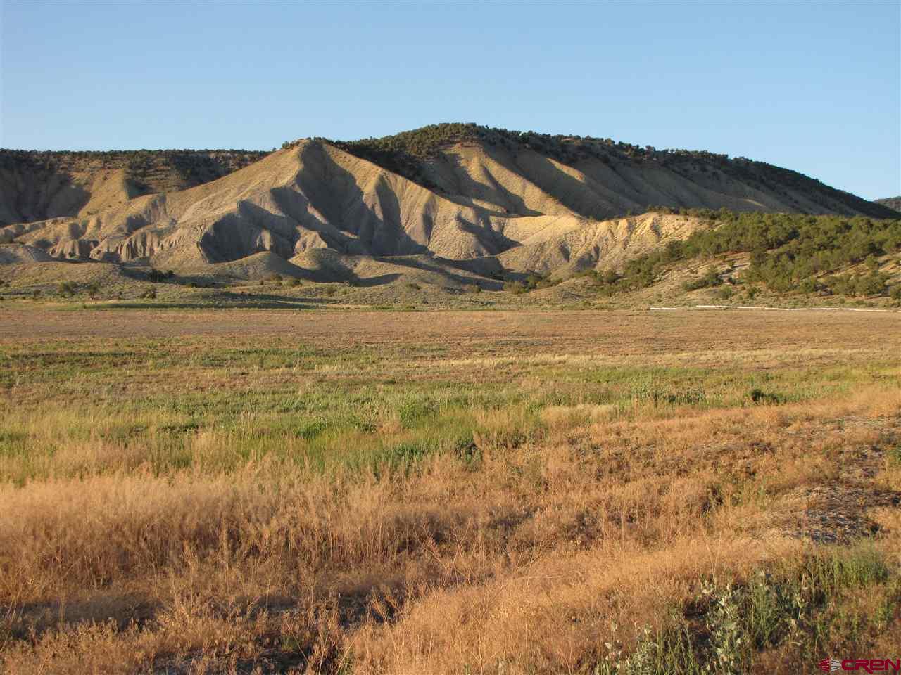 Tbd Uncompaghre Road Montrose, CO 81403 - Photo 2 of 35 Gallery Image 2