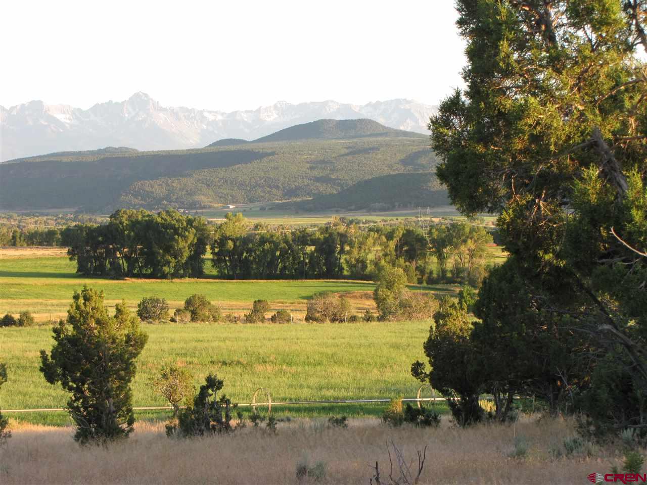 Tbd Uncompaghre Road Montrose, CO 81403 - Photo 16 of 35 Gallery Image 16