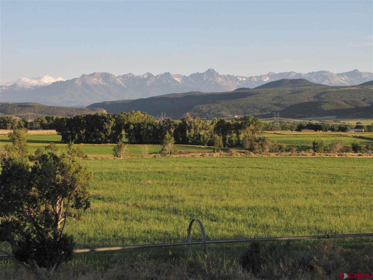 Tbd Uncompaghre Road Montrose, CO 81403 - Photo 10 of 35 Gallery Image 10