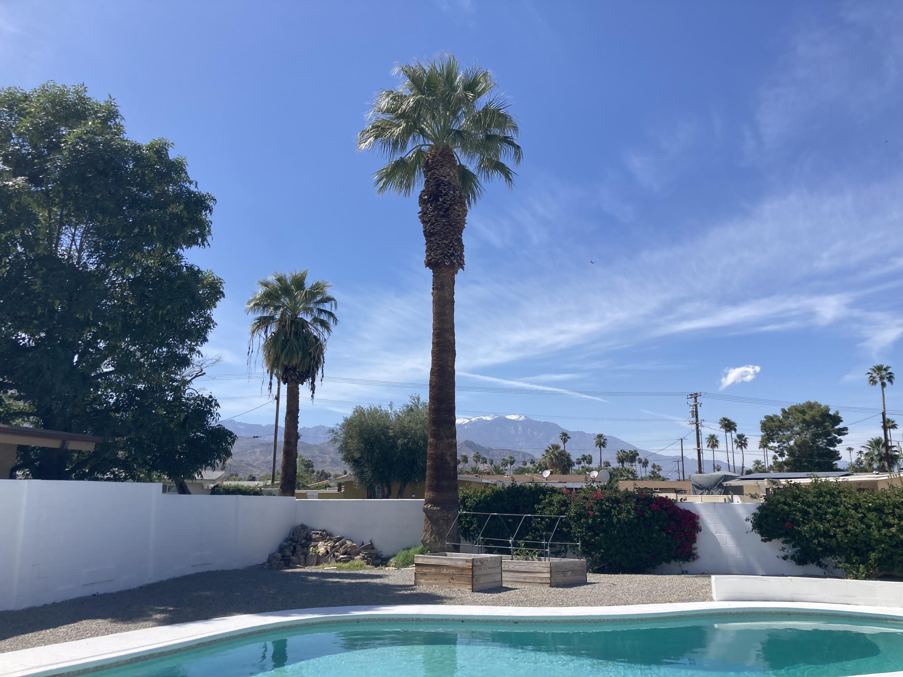 a front view of a house with a yard and palm trees
