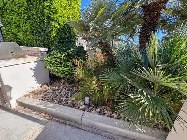 a plant that is in front of a house