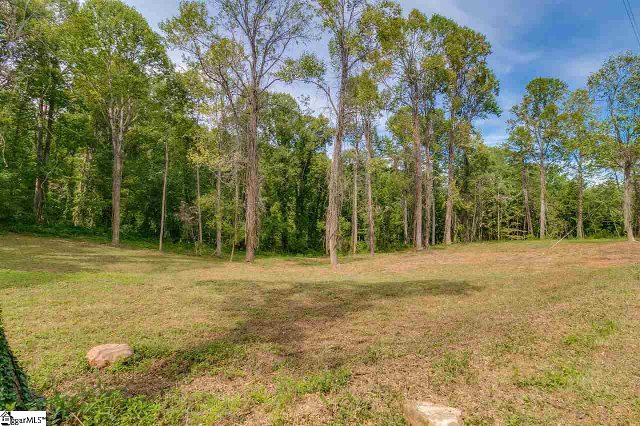0 Cedar Road Marietta, SC 29661 - Photo 11 of 18
