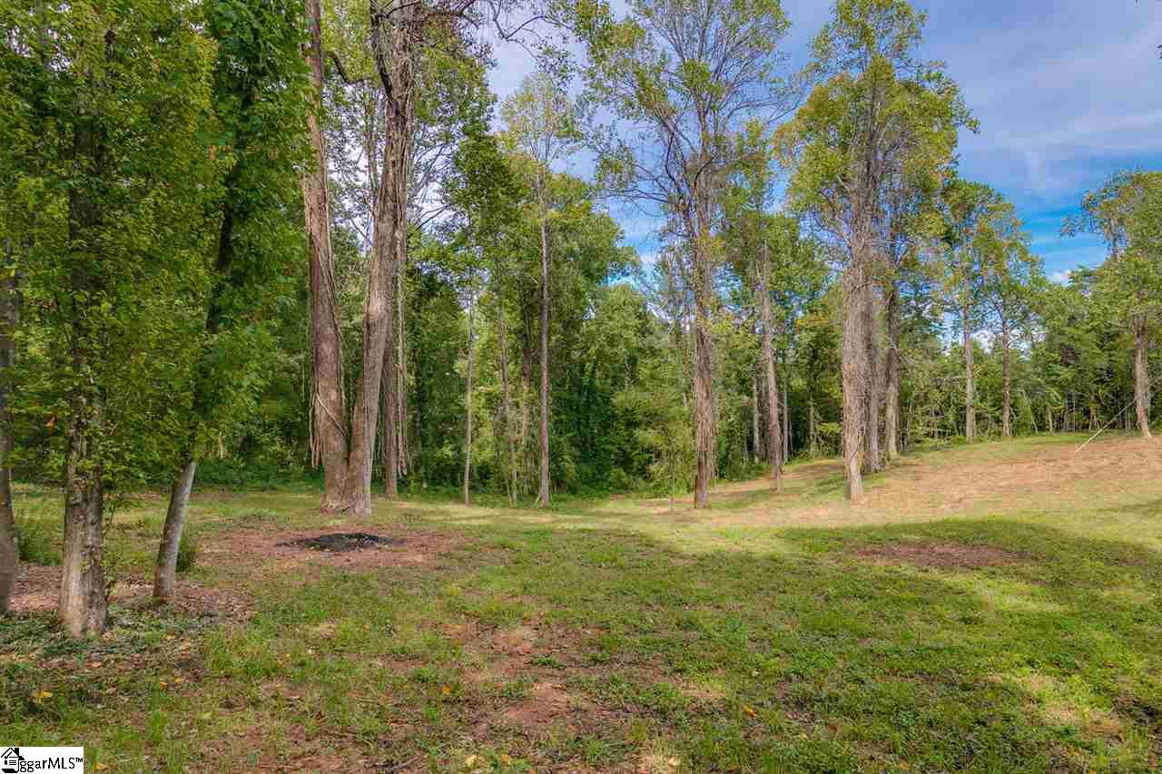 0 Cedar Road Marietta, SC 29661 - Photo 12 of 18