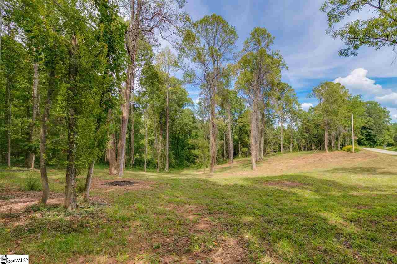 0 Cedar Road Marietta, SC 29661 - Photo 14 of 18