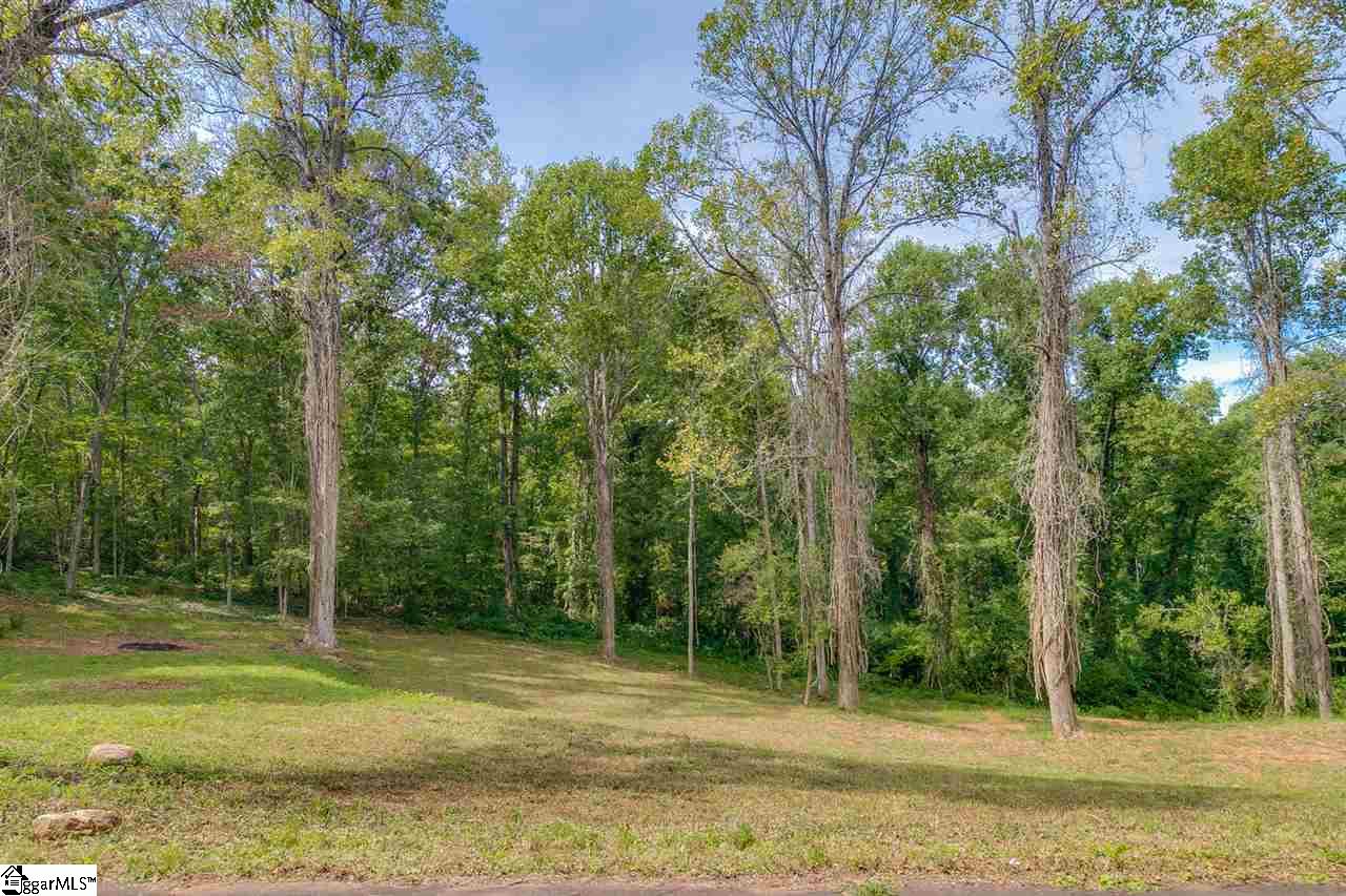 0 Cedar Road Marietta, SC 29661 - Photo 15 of 18