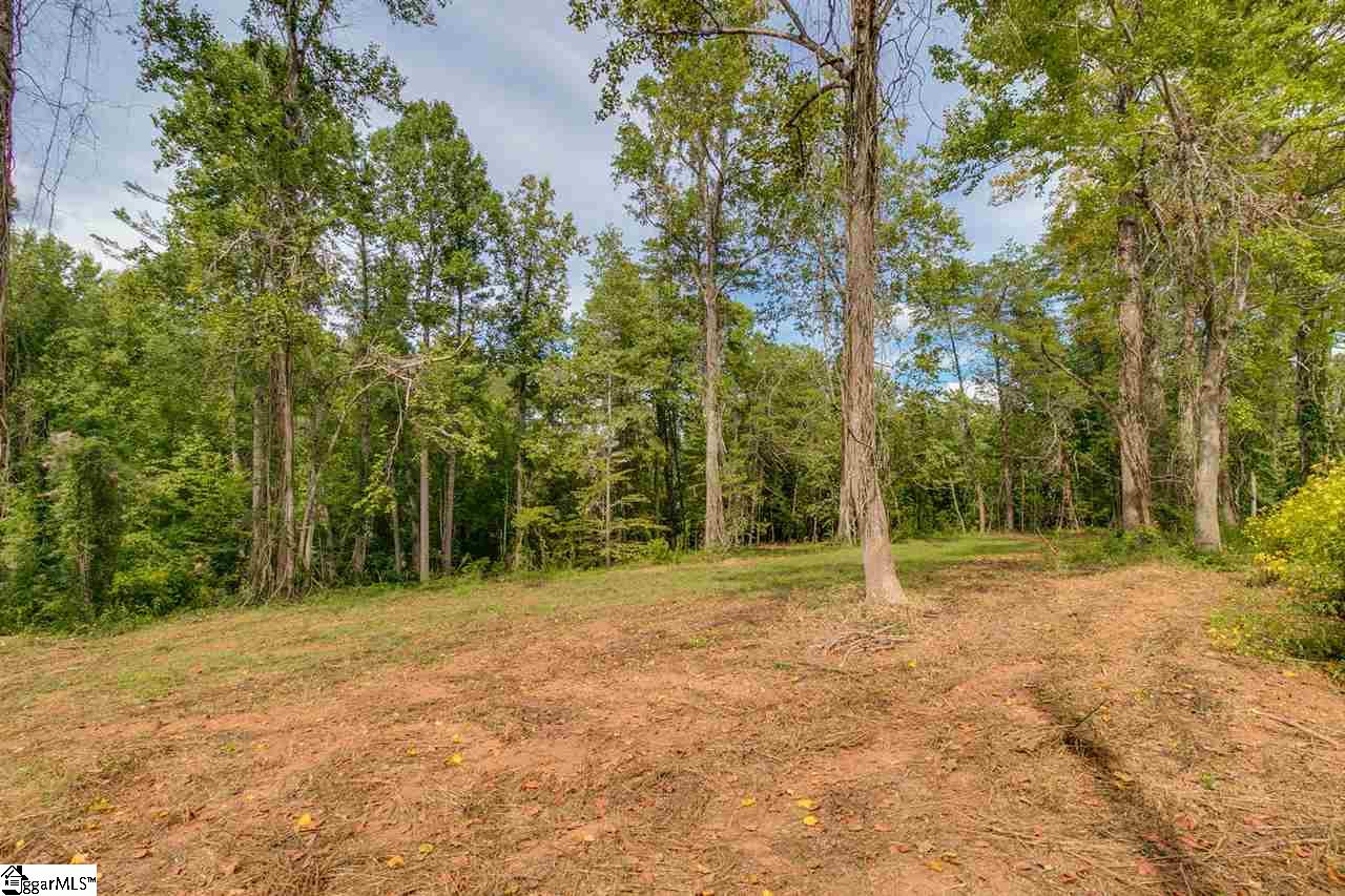 0 Cedar Road Marietta, SC 29661 - Photo 16 of 18