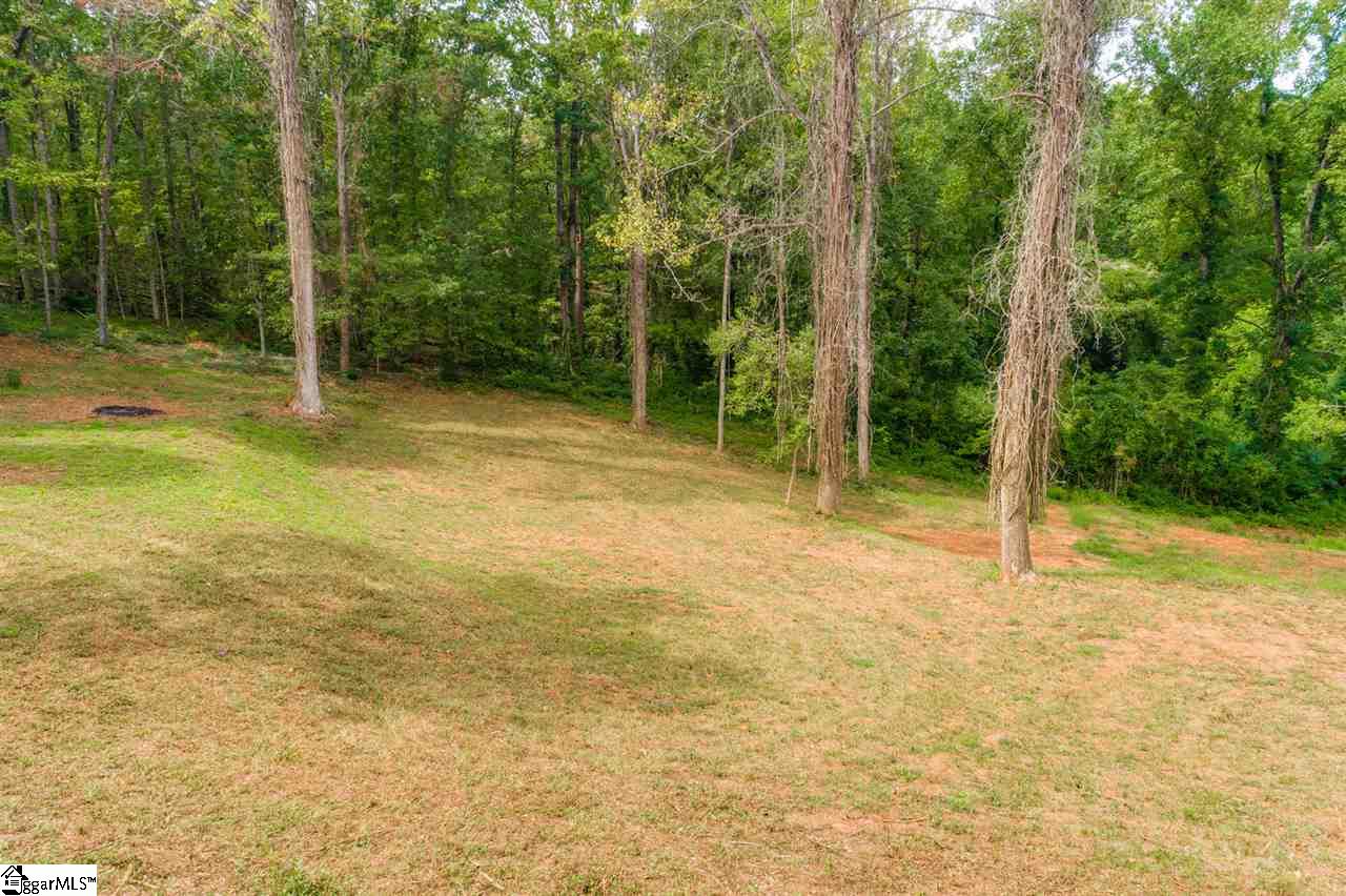 0 Cedar Road Marietta, SC 29661 - Photo 4 of 18