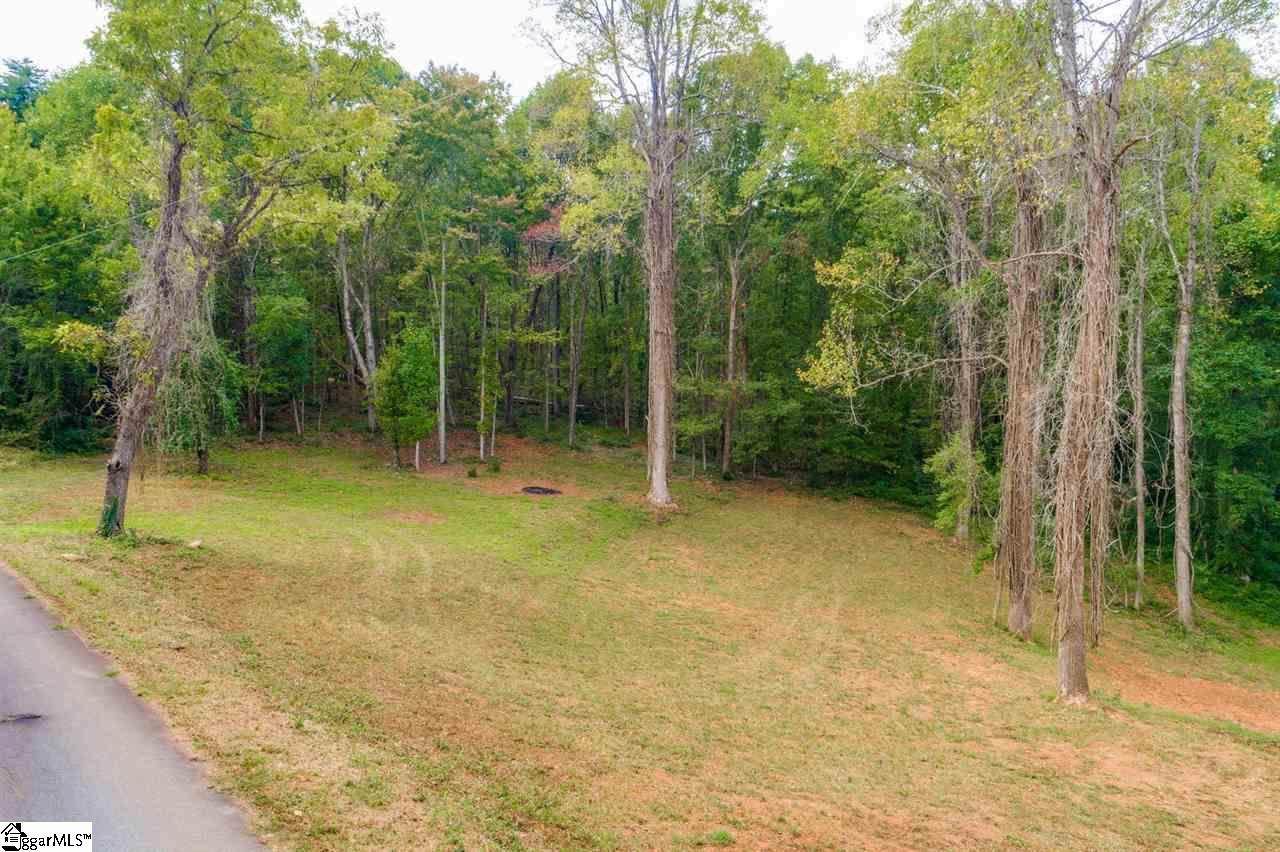0 Cedar Road Marietta, SC 29661 - Photo 5 of 18
