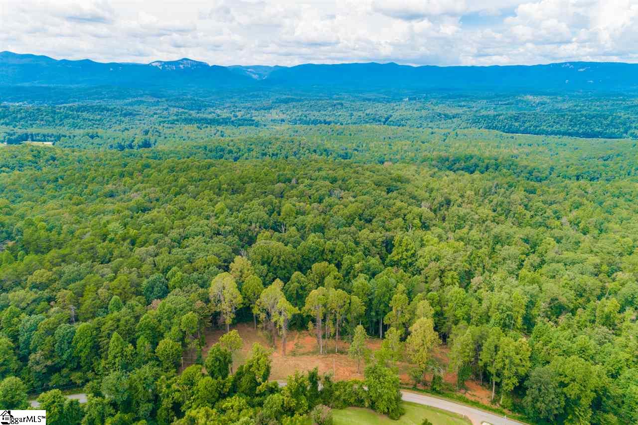 0 Cedar Road Marietta, SC 29661 - Photo 10 of 18