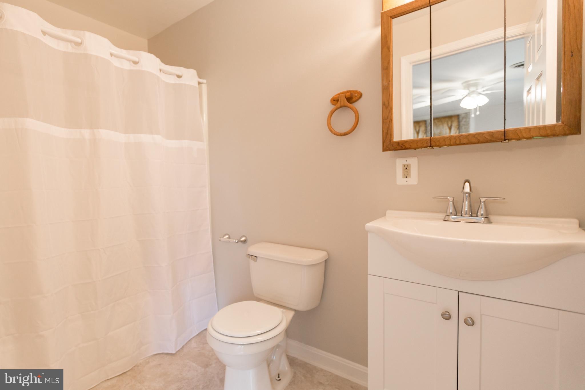 75 Locust Tree Lane Front Royal, VA 22630 - Photo 19 of 27 a bathroom with a sink and a mirror