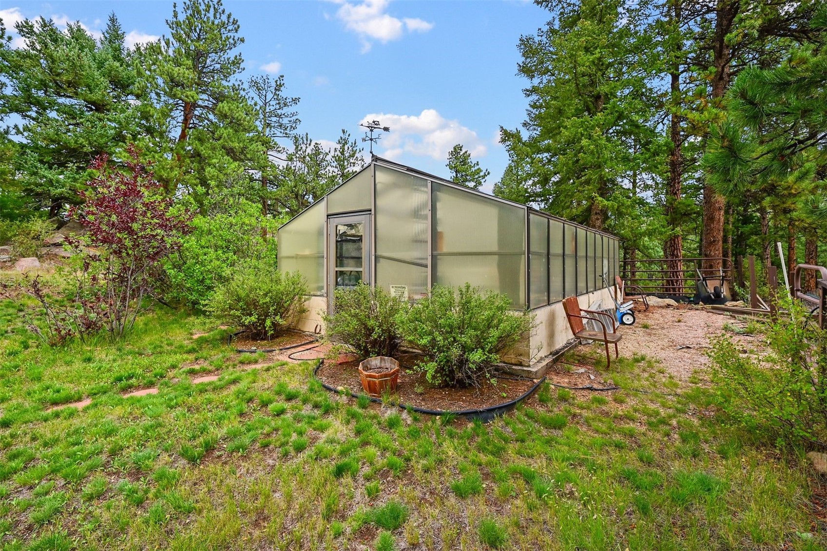 901 County Road 64 Bailey, CO 80421 - Photo 30 of 41 a view of a backyard with garden and plants