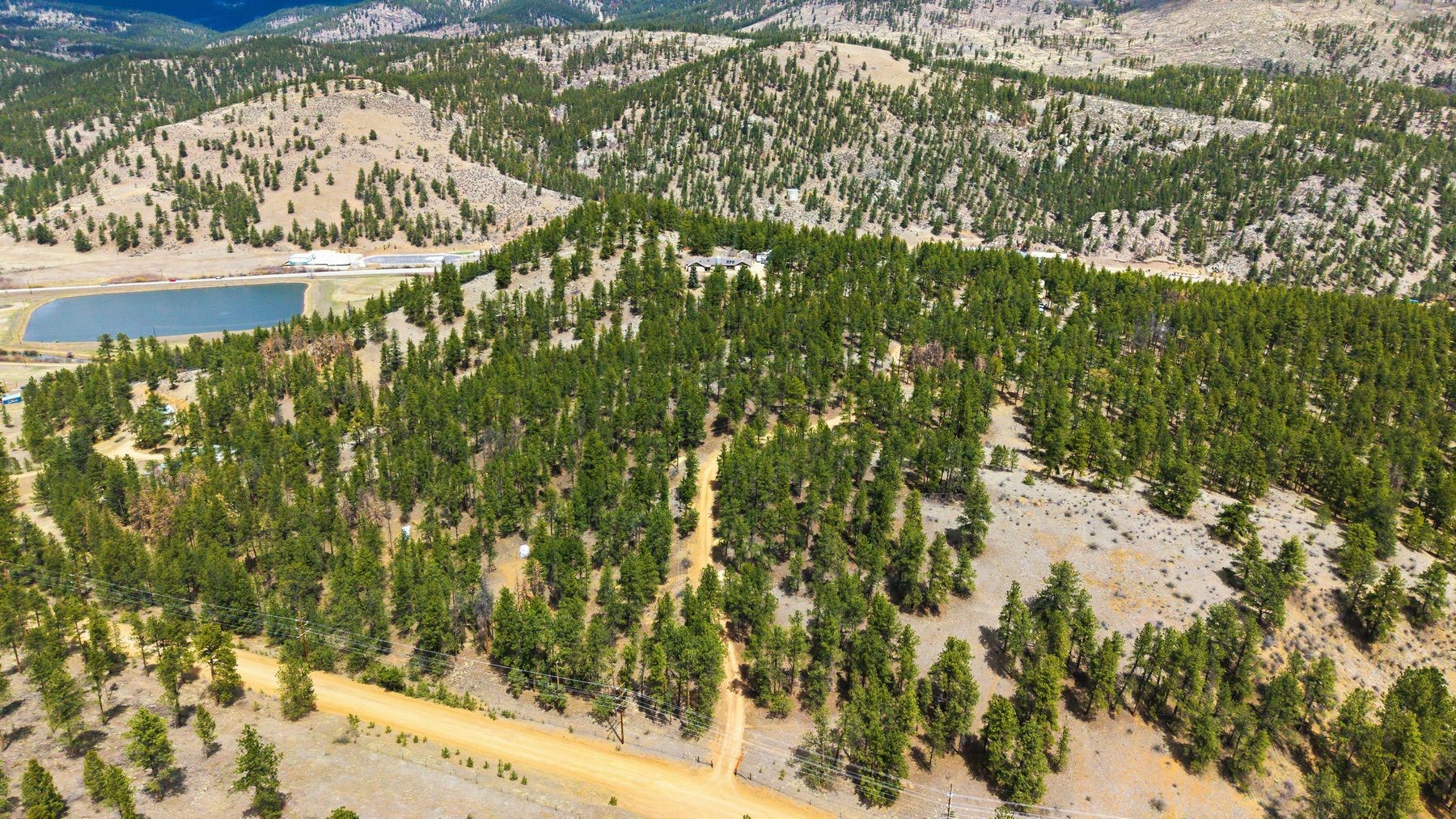 901 County Road 64 Bailey, CO 80421 - Photo 37 of 41 a view of a yard with a tree