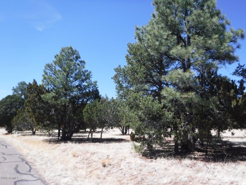 2744 Kitty Hawk Lane, Unit 24 Overgaard, AZ 85933 - Photo 7 of 8 DSCF1286