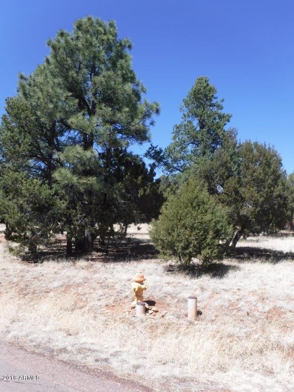 2744 Kitty Hawk Lane, Unit 24 Overgaard, AZ 85933 - Photo 8 of 8 DSCF1287