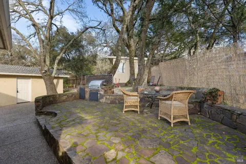 a view of a garden with flowers