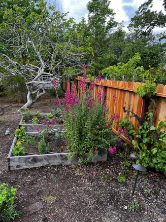 $1,795,000 | 3556 Wood Valley Road, Sonoma, CA 95476