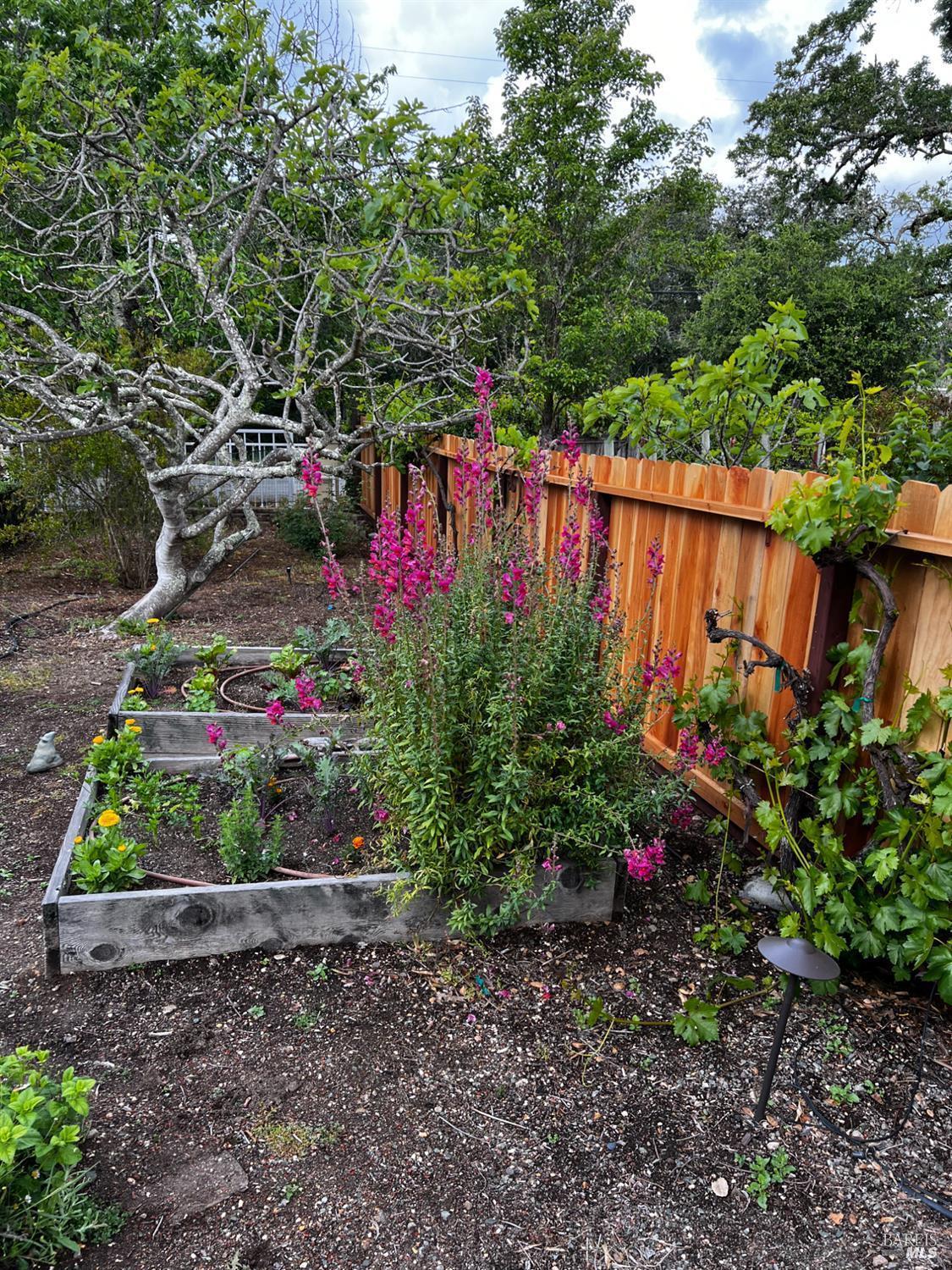 3556 Wood Valley Road Sonoma, CA 95476 - Photo 39 of 40 a view of a garden with flowers