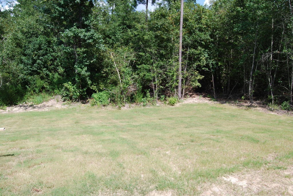 136 Chapman Ridge Road Macon, GA 31211 - Photo 20 of 20 Additional Photo