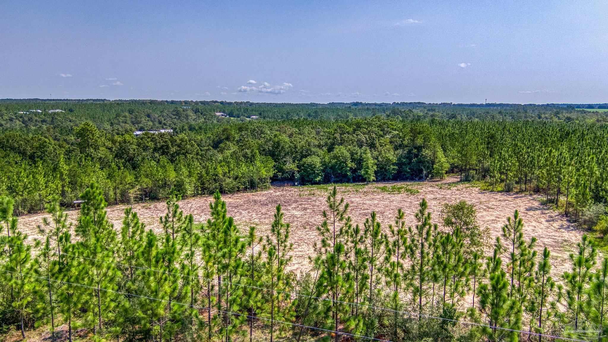 Lot 8 Southwest Waterfall Street Pace, FL 32571 - Photo 6 of 21 Gallery Image 6