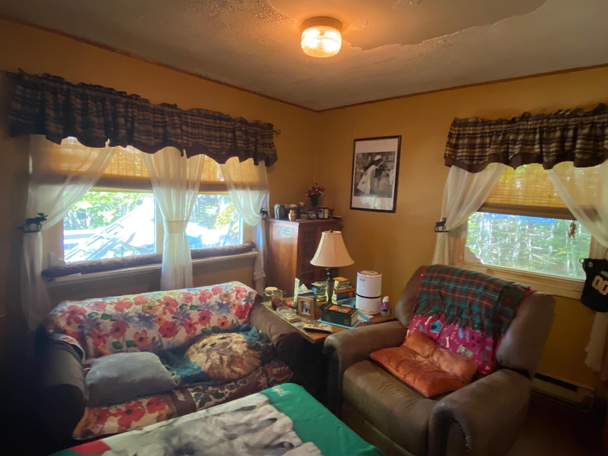 499 Lily Bay Road Greenville, ME 04441 - Photo 21 of 26 IMG_6475
