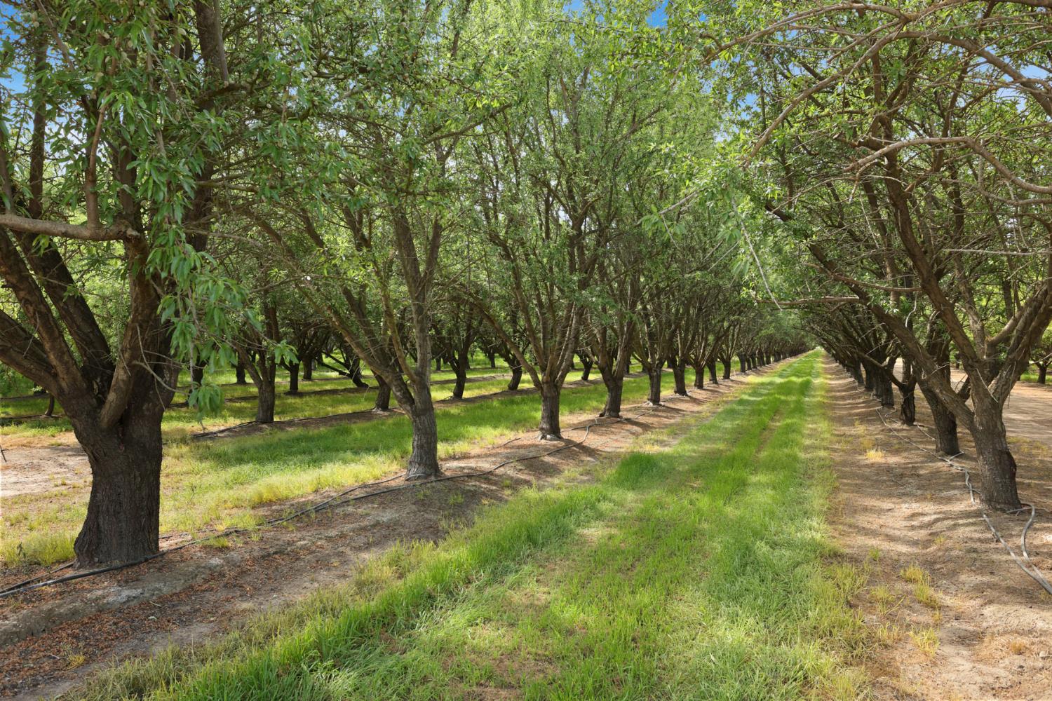 4866 East Roosevelt Road Chowchilla, CA 93610 - Photo 25 of 30