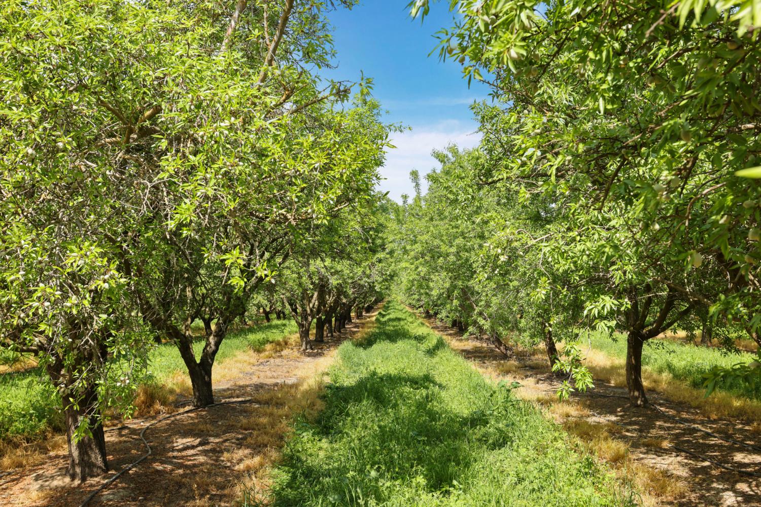 4866 East Roosevelt Road Chowchilla, CA 93610 - Photo 4 of 30