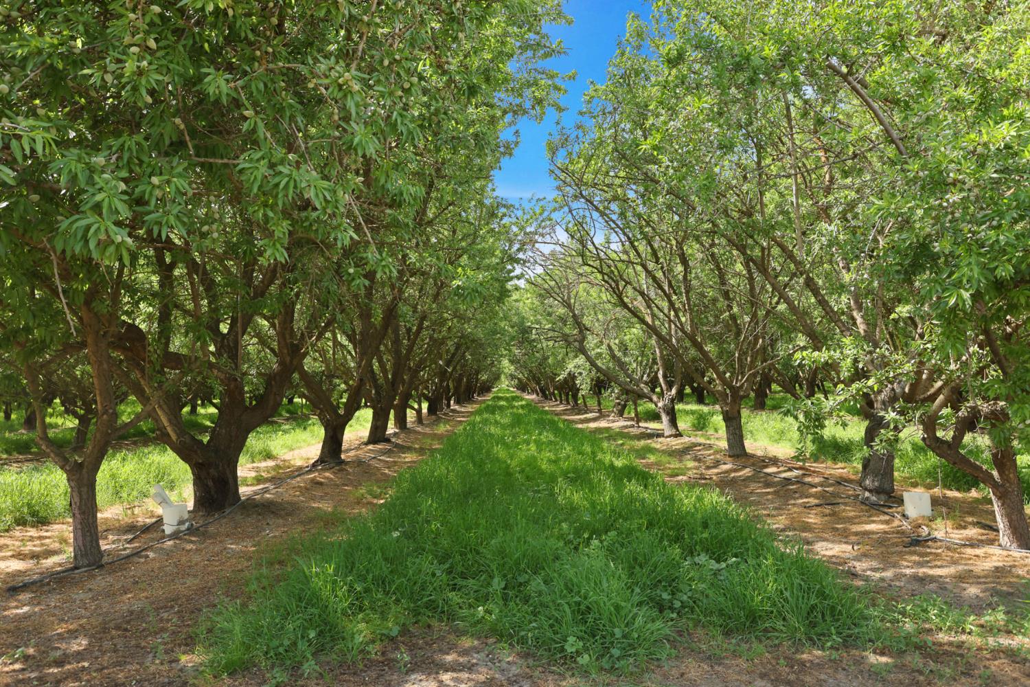 4866 East Roosevelt Road Chowchilla, CA 93610 - Photo 5 of 30