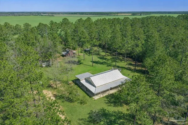 a view of a lush green outdoor space with a lake view