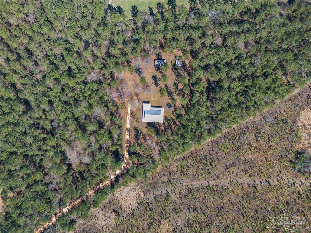 1660 Annie Penton Road Jay, FL 32565 - Photo 4 of 56 a view of a house with a yard