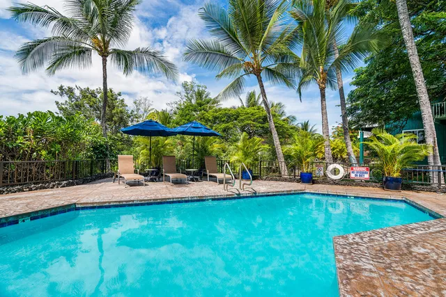 a view of a backyard with a patio and plants