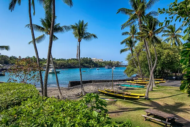a view of a tennis court with palm trees